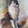 кот